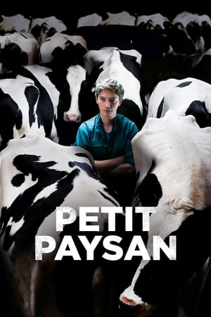 Image Petit Paysan