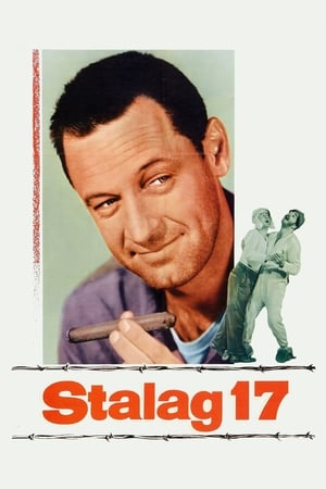 Image Bag pigtråd i Stalag 17