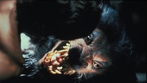 مشاهدة فيلم Howling V: The Rebirth 1989 مباشر اونلاين