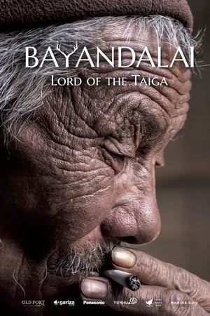 Télécharger Bayandalai - El señor de la Taiga ou regarder en streaming Torrent magnet 