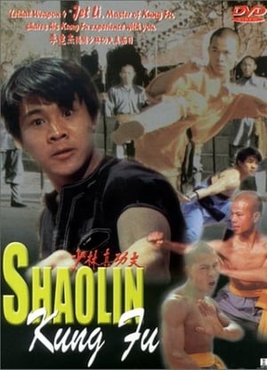 Poster Li Lian Jie's Shaolin Kung Fu 1994