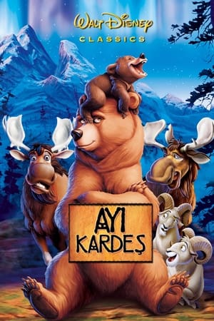 Poster Ayı Kardeş 2003