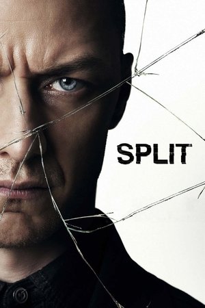 Split: Fragmentado (2016) BDRip 1080p x265 10Bit Dual