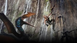 Images posters