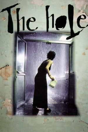 Poster The Hole 1999