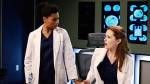 Grey’s Anatomy Season 11 Episode 20