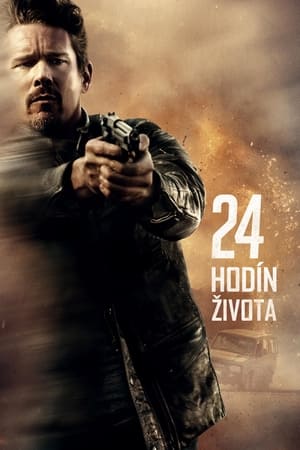 Poster 24 hodín života 2017