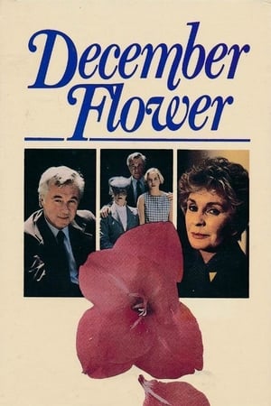 December Flower 1984