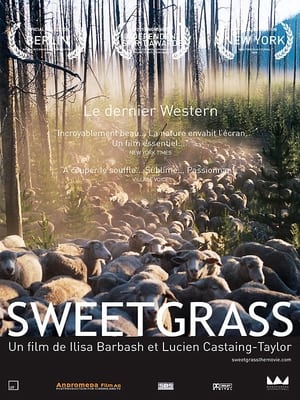 Image Sweetgrass