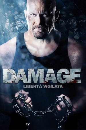 Image Damage - Libertà vigilata