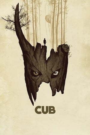 Image Cub