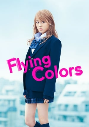 Poster Flying Colors 2015