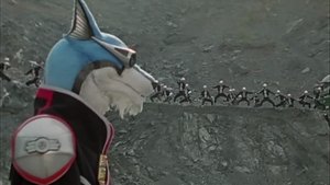 High Noon Dog Fight