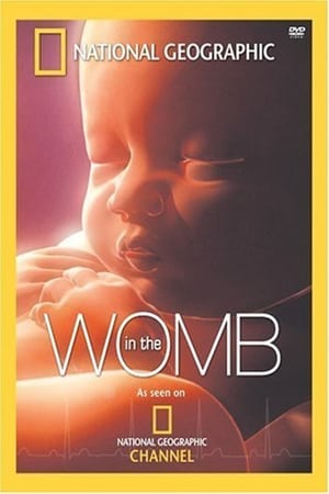 In The Womb 2005