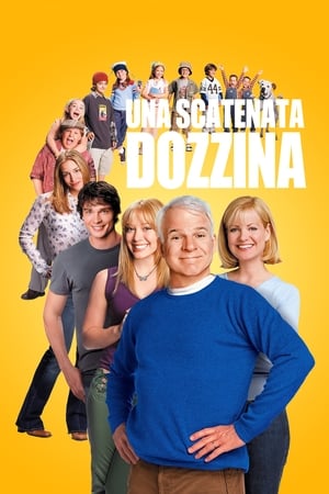 Poster Una scatenata dozzina 2003