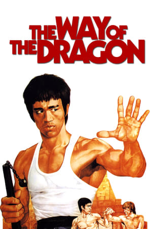 Poster The Way of the Dragon 1972