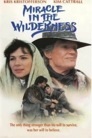 Poster Miracle in the Wilderness 1991