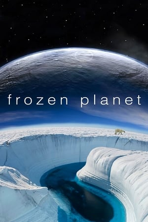 Poster Frozen Planet Miniseries Winter 2011