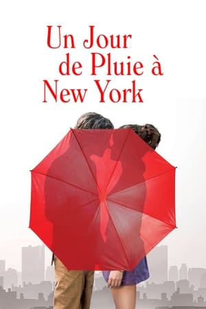 Image Un jour de pluie à New York