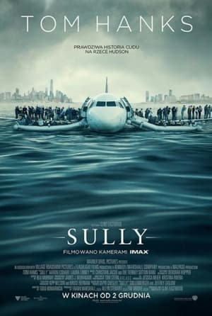 Image Sully