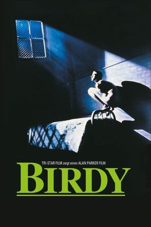 Poster Birdy 1984