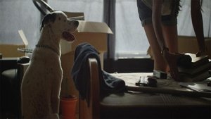 Images posters