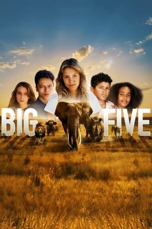 Image Big Five