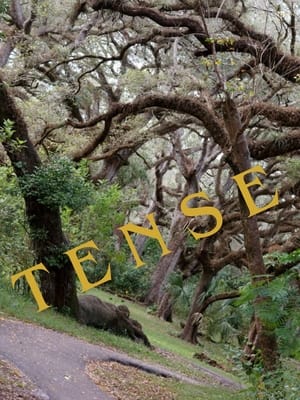 Tense (2024)
