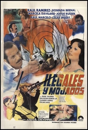 Poster Ilegales y mojados 1980