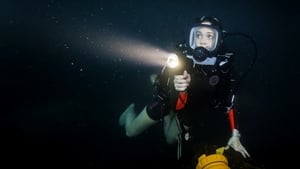 مشاهده فيلم 47 Meters Down 2017 مترجم