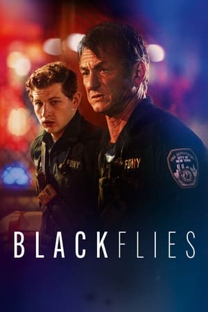 Poster Black Flies 2024