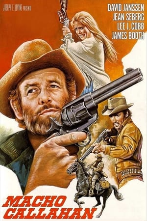 Poster Macho Callahan 1971