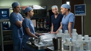 Grey’s Anatomy Season 14 Episode 19