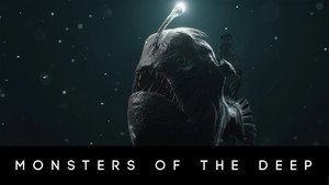 Images posters