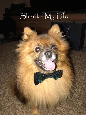 Nonton film Sharik - My Life (1970) terbaru sub indo