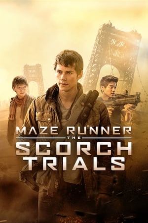 Poster Maze Runner: The Scorch Trials 2015