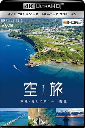 空旅・沖縄～癒しのドローン遊覧