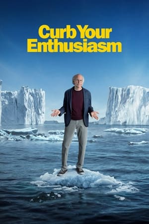 Poster Curb Your Enthusiasm 2000