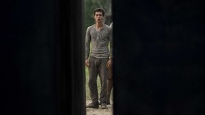Images posters