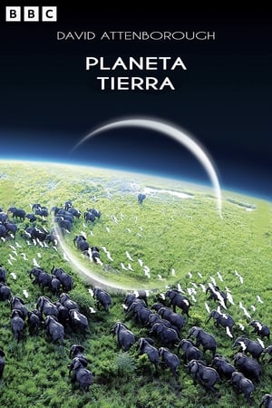 Poster Planeta Tierra 2006