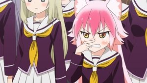 成群结伴!西顿学园 Season 1 Episode 1