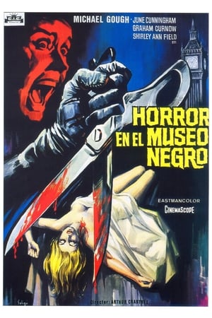 Image Horror en el museo negro