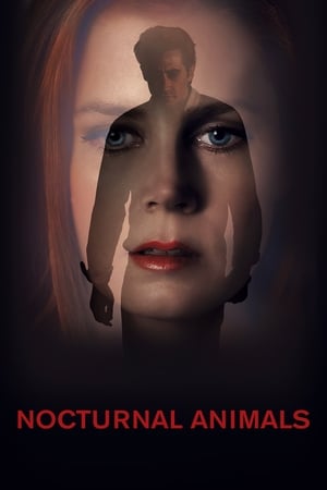 Poster Nocturnal Animals 2016