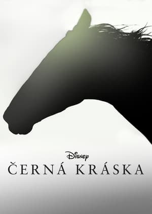 Poster Černá kráska 2020