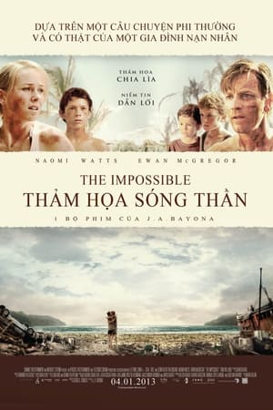 Image Thảm Họa Sóng Thần