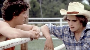 مشاهدة فيلم Tex 1982 مترجم