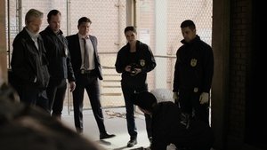 NCIS Season 23 :Episode 3  The Sound and the Fury