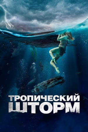 Poster Тропический шторм 2022