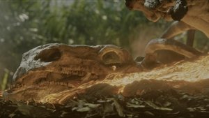 Images posters