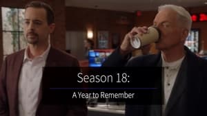 NCIS Season 0 :Episode 135  Season 18: A Year to Remember